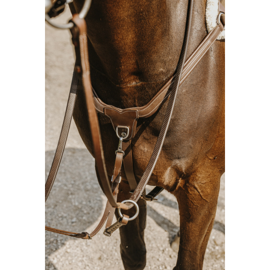 Collier de chasse Norton 5 points