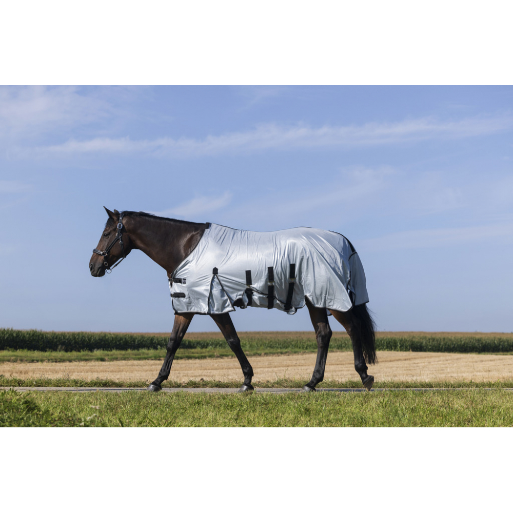 Riding World Belly Mesh Sheet - Standard
