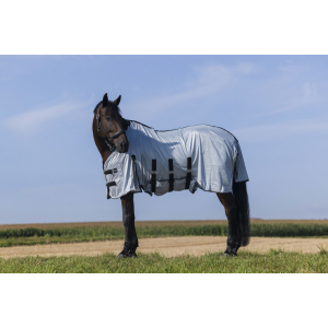 Riding World Belly Mesh Sheet - Standard