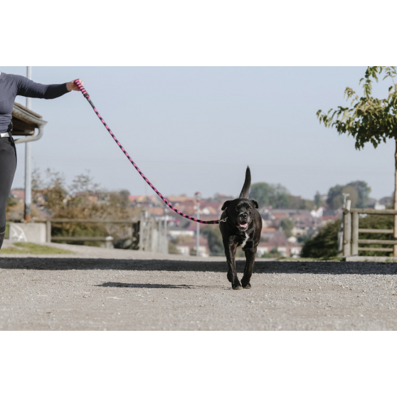 EQUITHÈME Haspen Dog Leash