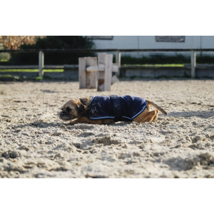 Riding World Fleece Dog rug