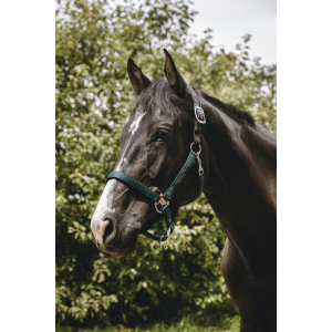 EQUITHÈME Protector Halter