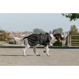 Couverture pour chien EQUITHÈME Softshell