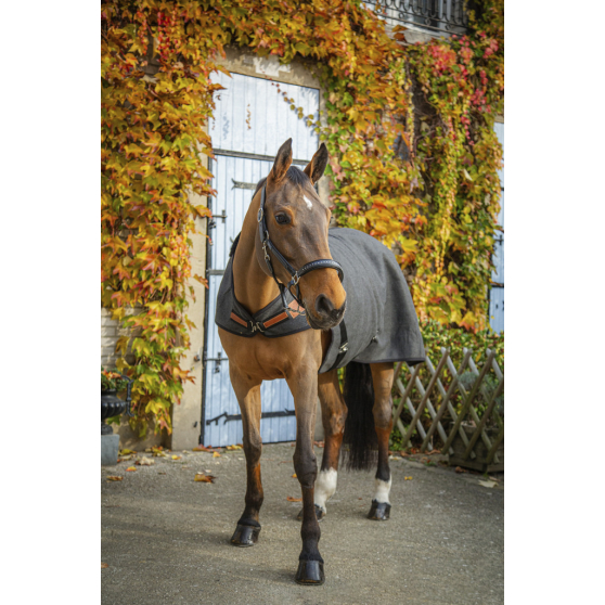 Paddock Sports Wooltouch Walker Rug