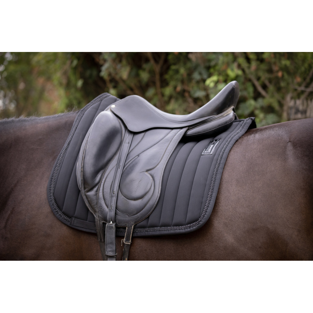 Tapis de selle Paddock Sports Verticali - Dressage