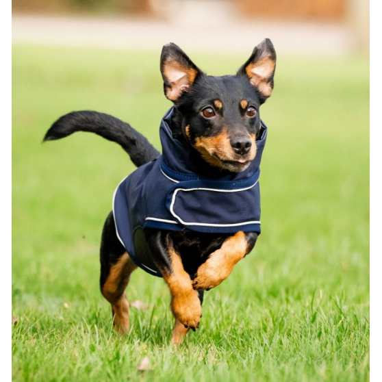 Horseware Signature Waterproof Dog Rug