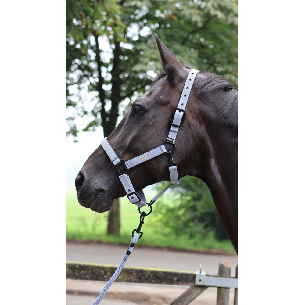 Lami-Cell Midnight Lead rope