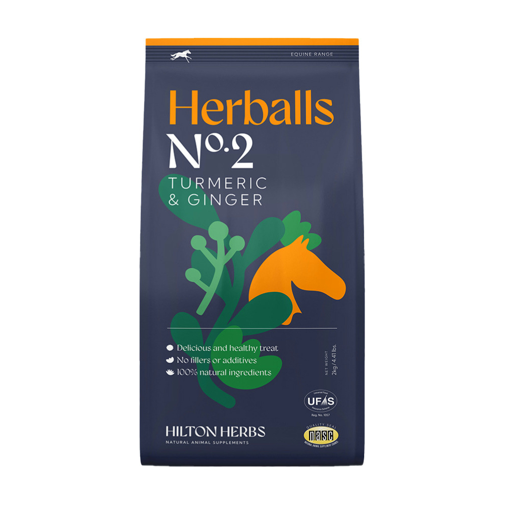 Hilton Herbs Herballs Treats - Turmeric & Ginger