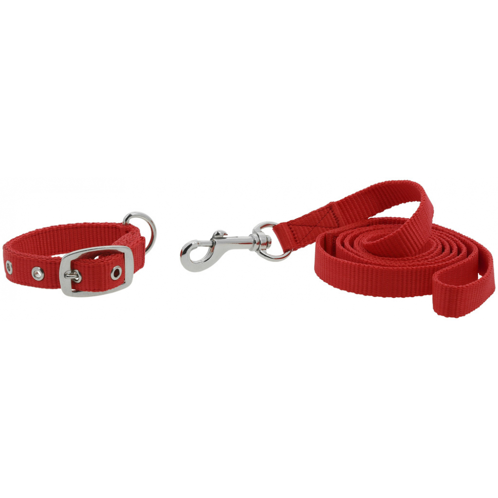 Riding World Oscar Collar + Leash