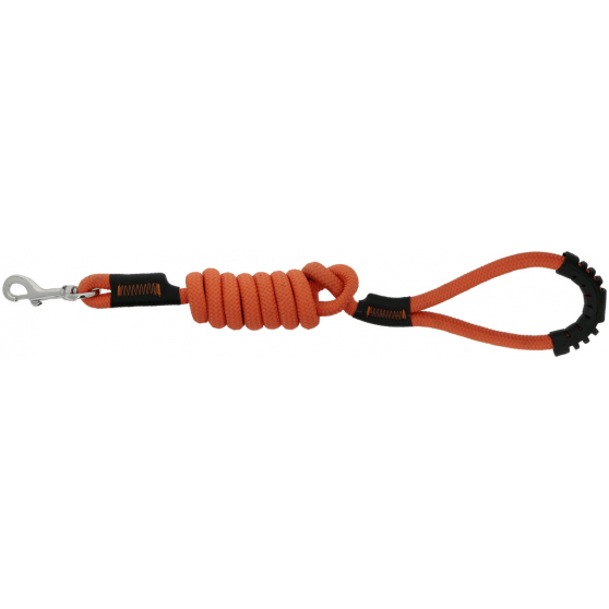 Laisse pour chien Riding World Lucky
