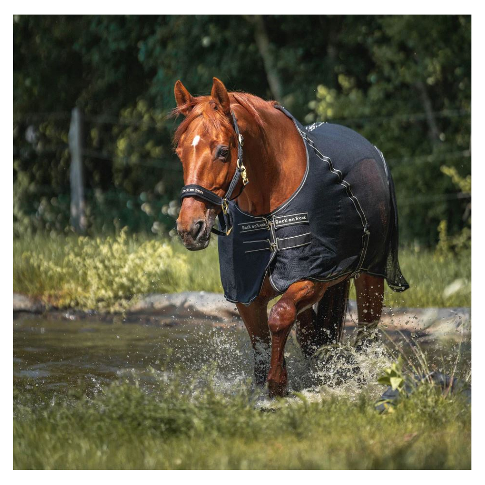 Back on Track® Sienna Cooler-Decke