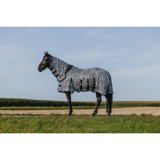 Chemise Riding World Belly Mesh - Combo