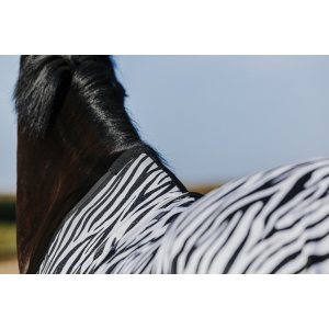 Riding World Belly Mesh Sheet - Standard