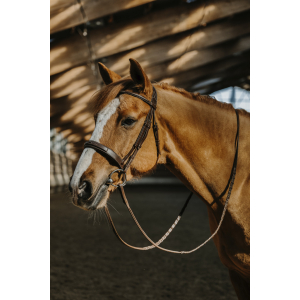 Norton Hunter Fancy Zaum