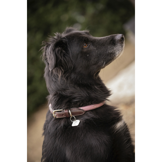 Pénélope Billie Dog Collar