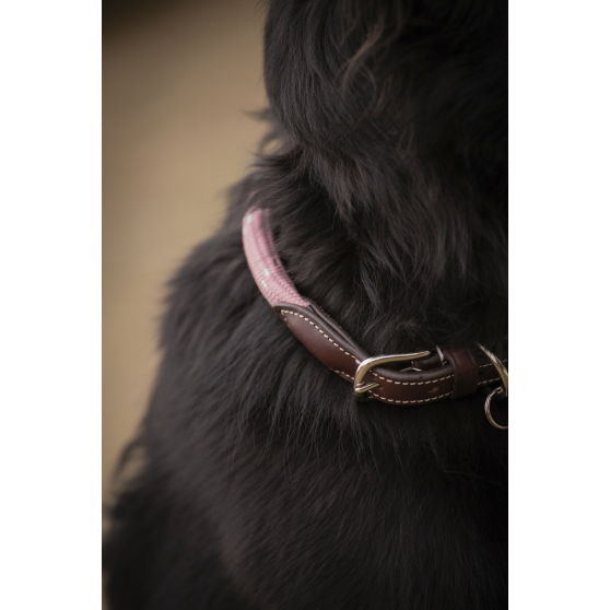 Pénélope Billie Dog Collar