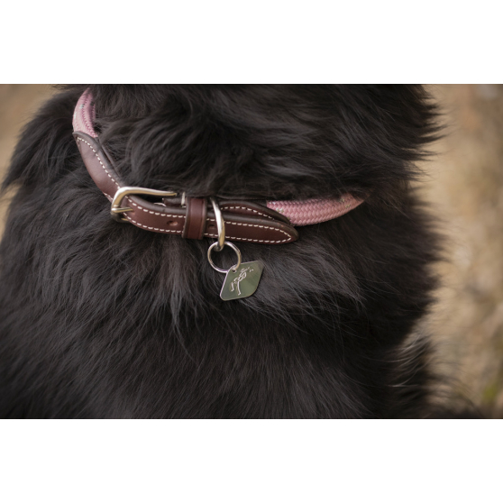 Collier pour chien Pénélope Billie