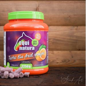 Equinatura Horse Treats - Orange