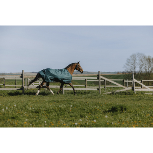 EQUITHÈME Tyrex 600D Rug -...