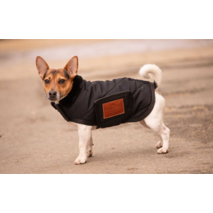Paddock Sports Diagonal Dog rug