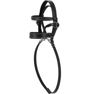 Pony Academy Bridle