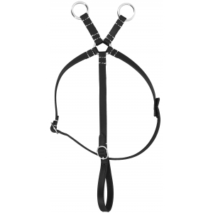 Pony Academy Martingale