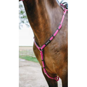 Collier de Chasse Endurance...