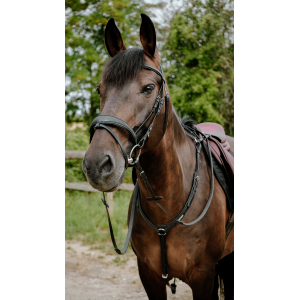 BRIDON ENDURANCE POP
