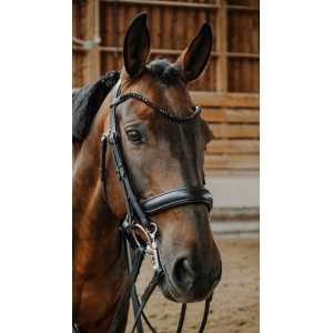 Norton Onyx Bridle