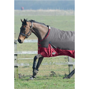 Couverture Weatherbeeta Original 1200 D 300 g