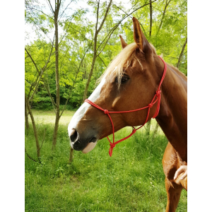 Riding World Fin Ethologisches Strickhalfter