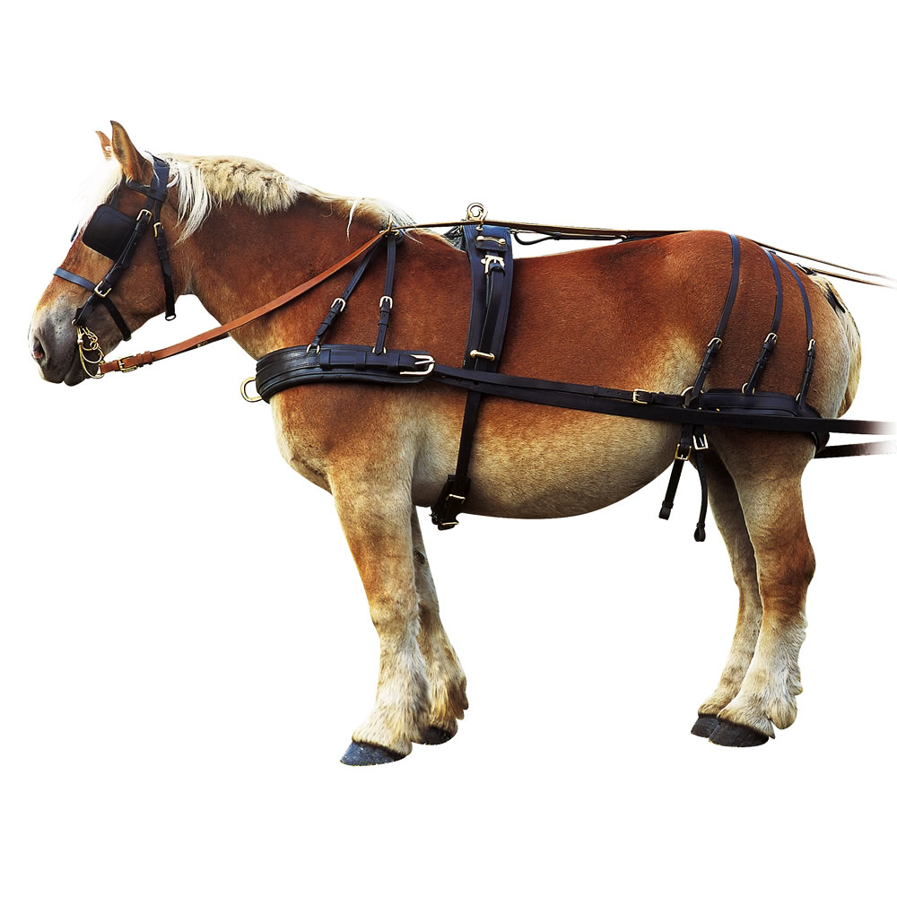Sac De Transport Pour Bride De Cheval - Harnais Avec Crochets, Robuste Et Pratique Pour Les Randonnées équestres