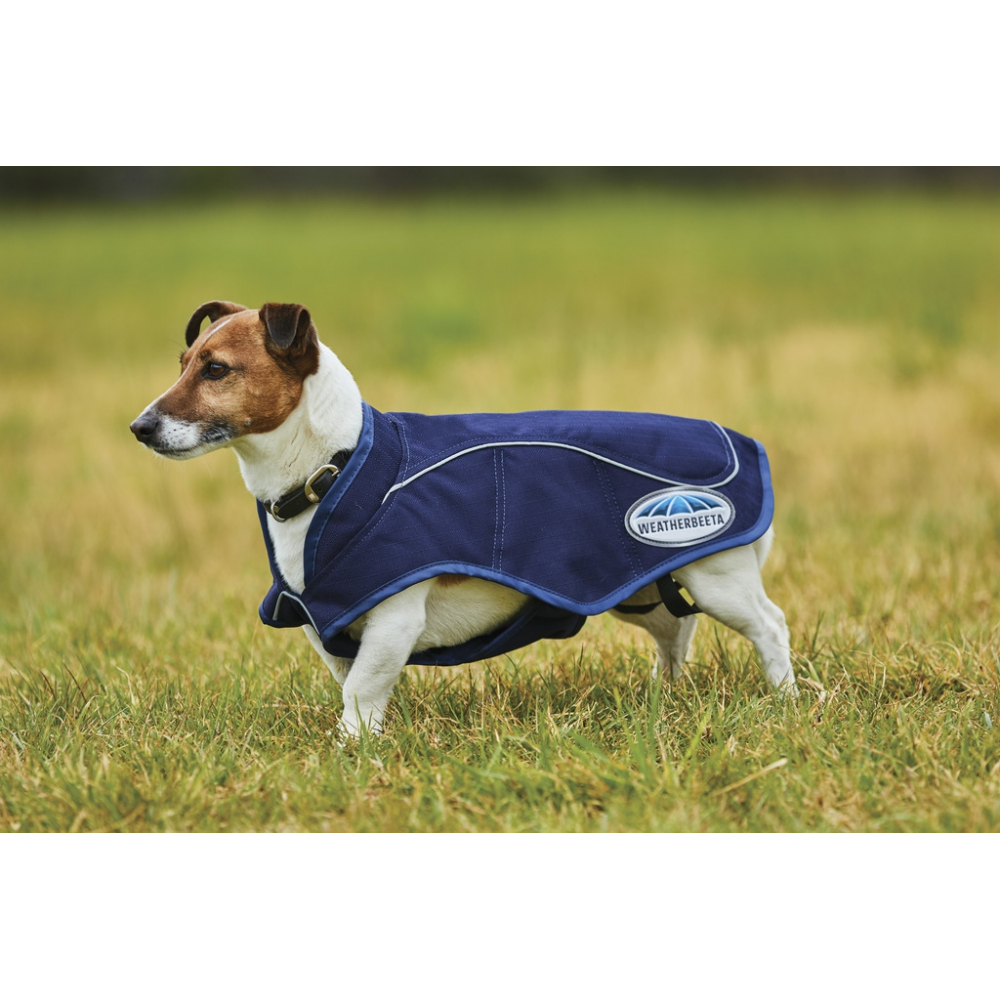Exercise rug Weatherbeeta 1200D for dog