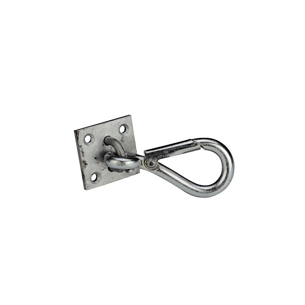Snap hook on wall plate