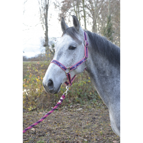 Licol + longe Equi-Kids Pégase Licol + longe Equi-Kids Pégase