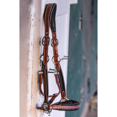 Licol cuir Pénélope Point Sellier Licol cuir Pénélope Point Sellier
