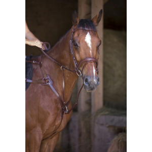 Norton Pro 5 points hunting breastplate