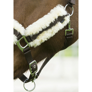 EQUITHÈME halter with synthetic sheepskin