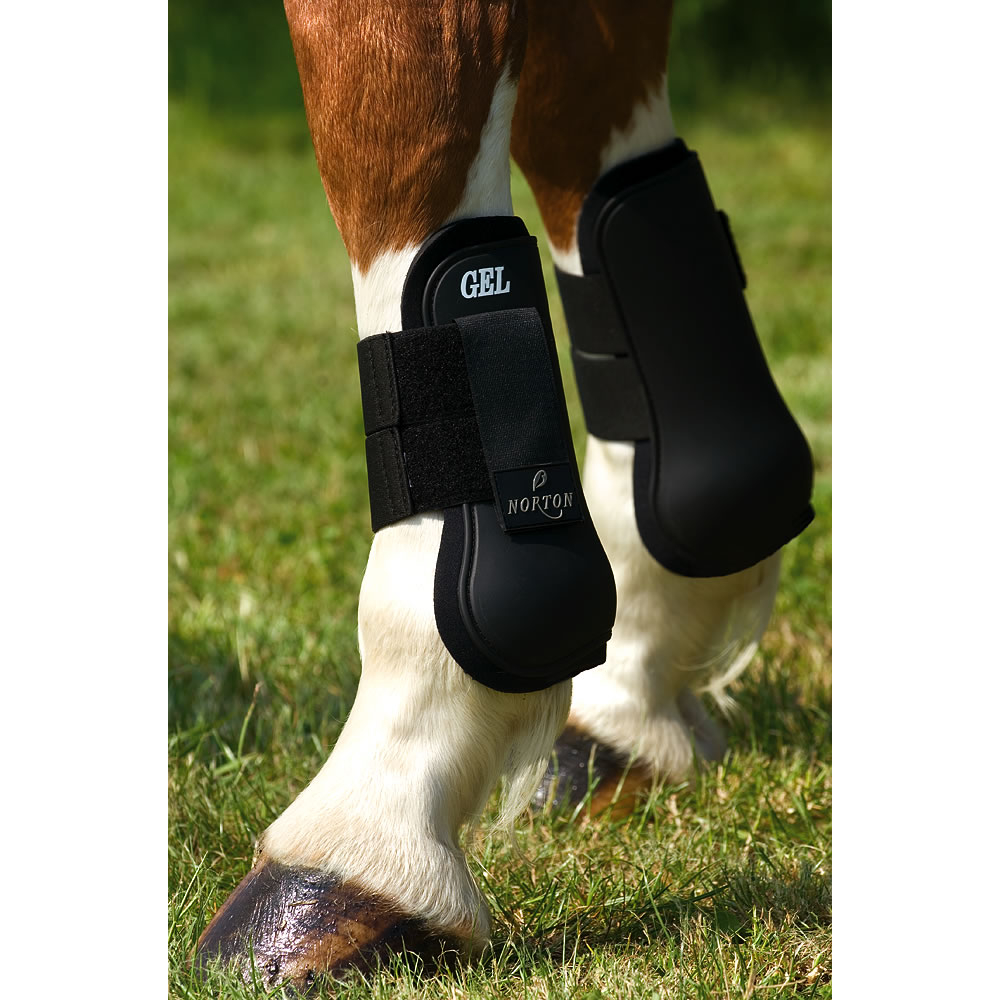 Gel boots hotsell for horses