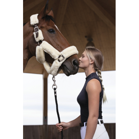 Licol EQUITHÈME Teddy Licol EQUITHÈME Teddy