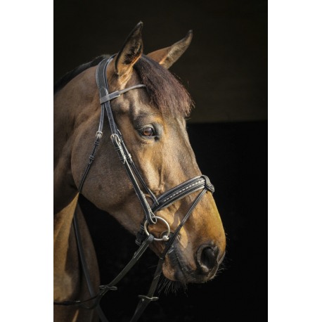 Bridon Pénélope Luxe Bridon Pénélope Luxe