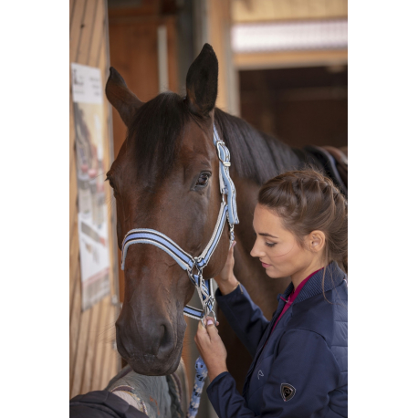Licol EQUITHÈME Tyrex Licol EQUITHÈME Tyrex
