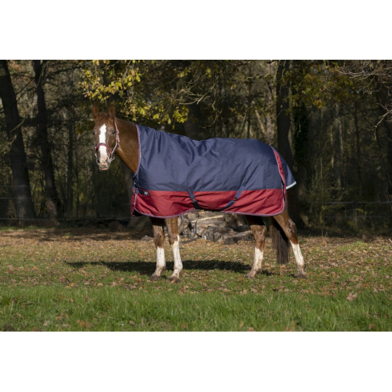 Equitheme Tyrex 1200D Outer 300g Heavy Weight Horse Turnout Rug High Neck 