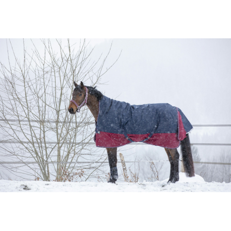 Couverture EQUITHÈME Tyrex 1200D Réflec - High Neck Couverture EQUITHÈME Tyrex 1200D Réflec - High Neck