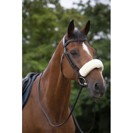Fourreau de muserolle EQUITHÈME Teddy Fourreau de muserolle EQUITHÈME Teddy