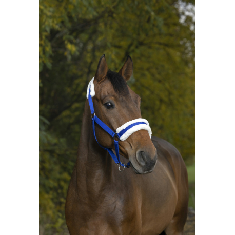 Licol Norton Mouton synthétique doux Licol Norton Mouton synthétique doux