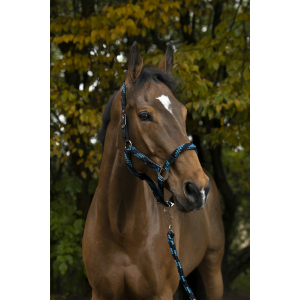 EQUITHÈME Braided Halter + Lead Rope