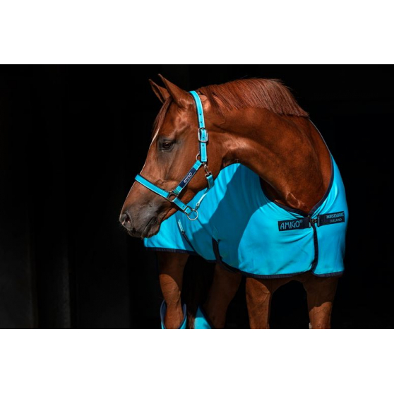 Chemise séchante Horseware Amigo Jersey