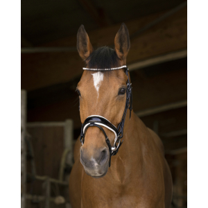 Norton Pro Bella Bridle