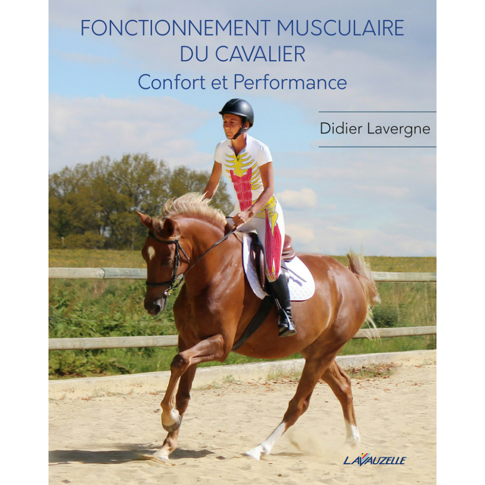 Fonctionnement musculaire du cavalier – Confort et Performance